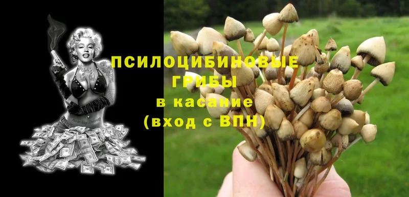 Галлюциногенные грибы Magic Shrooms  Балабаново 